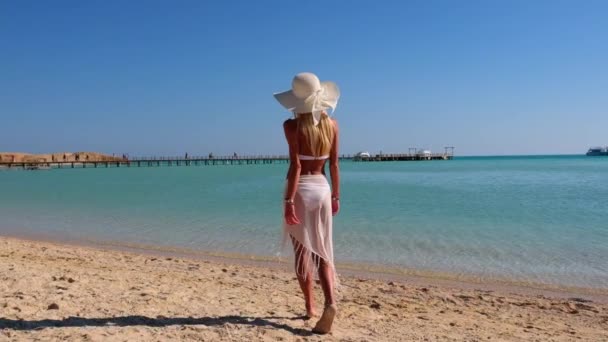Sahilde yürüyen pareo giyen genç moda kadını. — Stok video