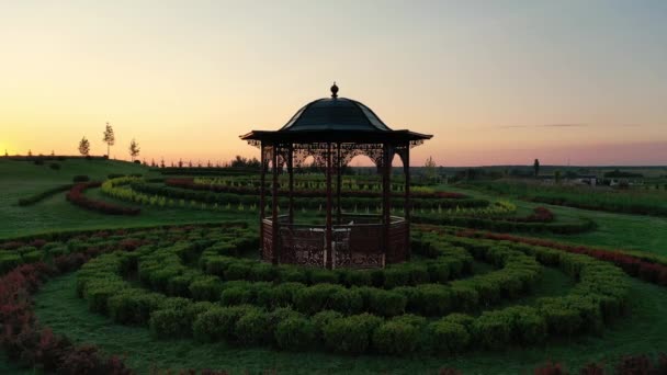 Сценічний пейзаж мальовничого літнього парку Добропарк на світанку, Мотижин, Україна. — стокове відео