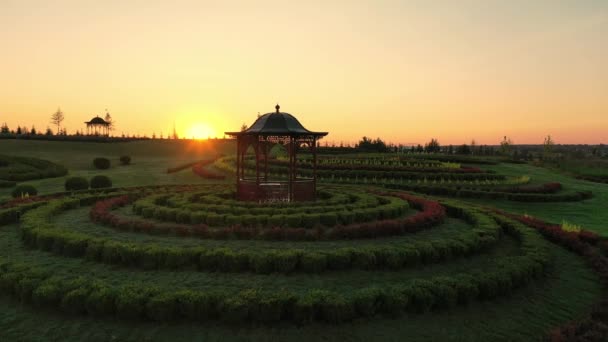 Красивый летний парк "Добропарк" на восходе солнца, Мотыжин, Украина — стоковое видео