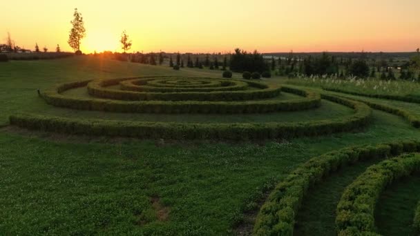 Сценічний пейзаж мальовничого літнього парку Добропарк на світанку, Мотижин, Україна. — стокове відео