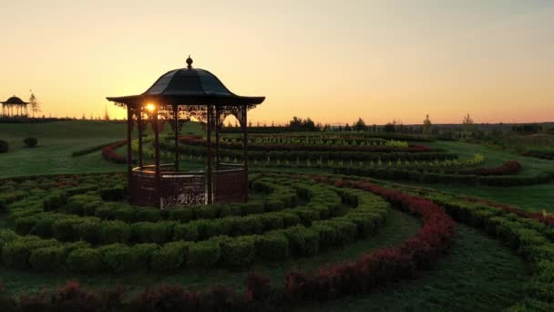 Scenic landscape of Beautiful summer park Dobropark at sunrise, Motyzhyn, Ukraine — Stock Video