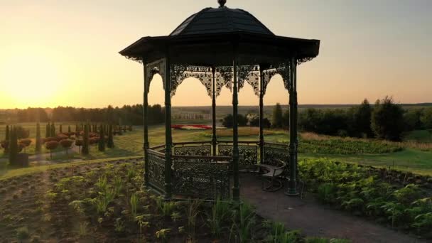 Scenic táj gyönyörű nyári park Dobropark napkeltekor, Motyzhyn, Ukrajna — Stock videók