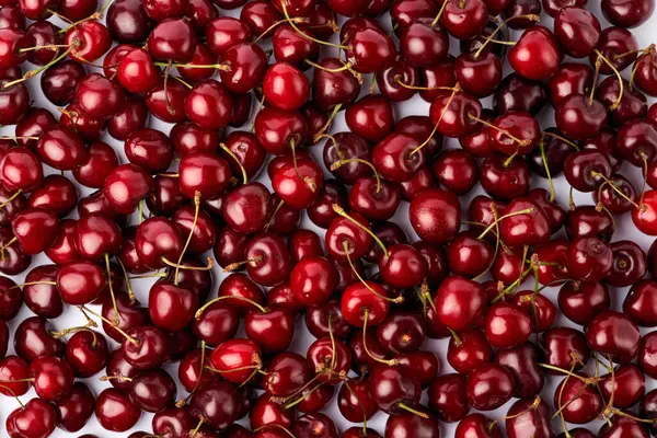 Bakgrund gjord av söta körsbär frukt isolerad på vit bakgrund — Stockfoto