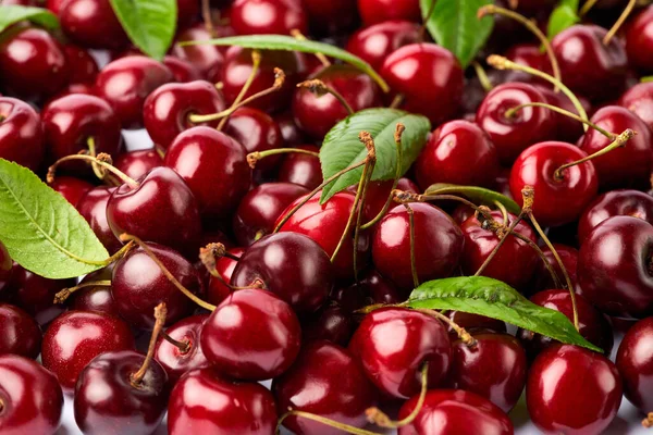 Bakgrund gjord av söta körsbär frukt isolerad på vit bakgrund — Stockfoto