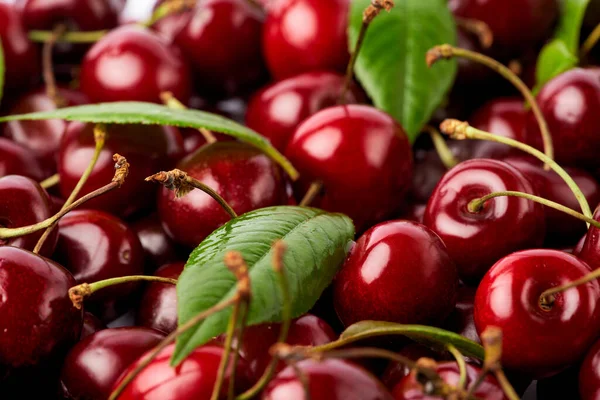 Bakgrund gjord av söta körsbär frukt isolerad på vit bakgrund — Stockfoto