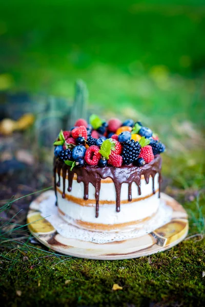 夏ベリー ケーキ — ストック写真
