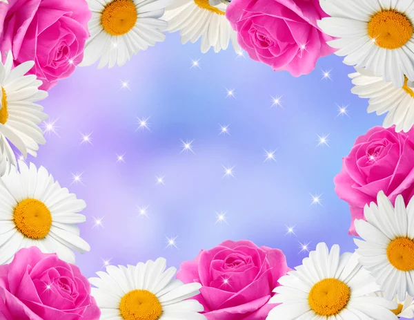 Daisy with roses and stars — Stock Photo, Image