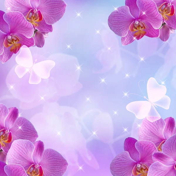 Orchideen und glühende Sterne — Stockfoto