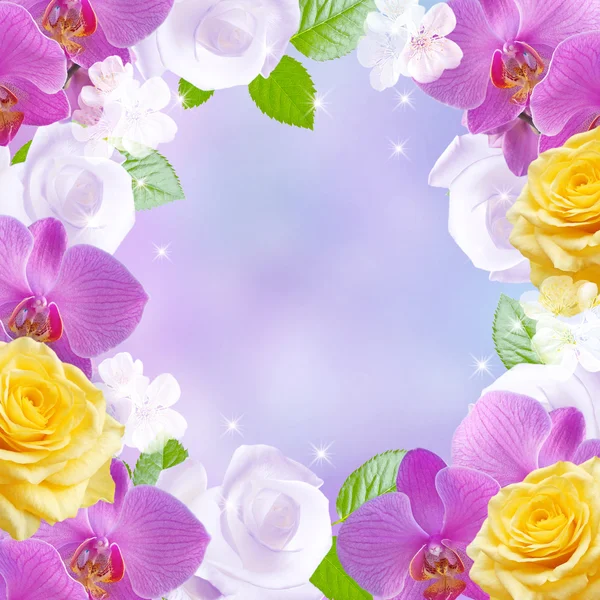 Orquídeas con rosas — Foto de Stock