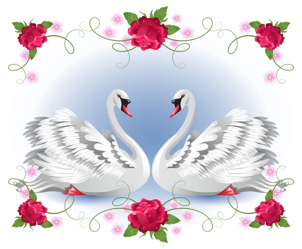 Cisnes blancos con adorno de rosas florales — Vector de stock