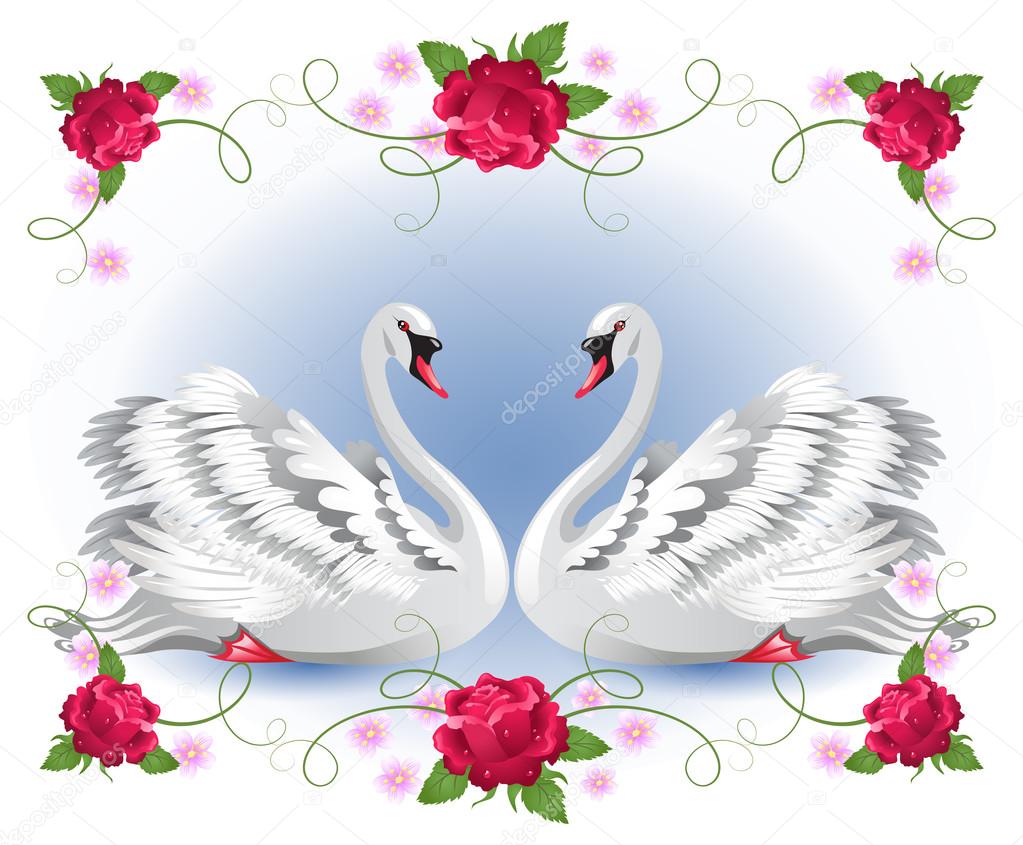 White swans with floral roses ornament