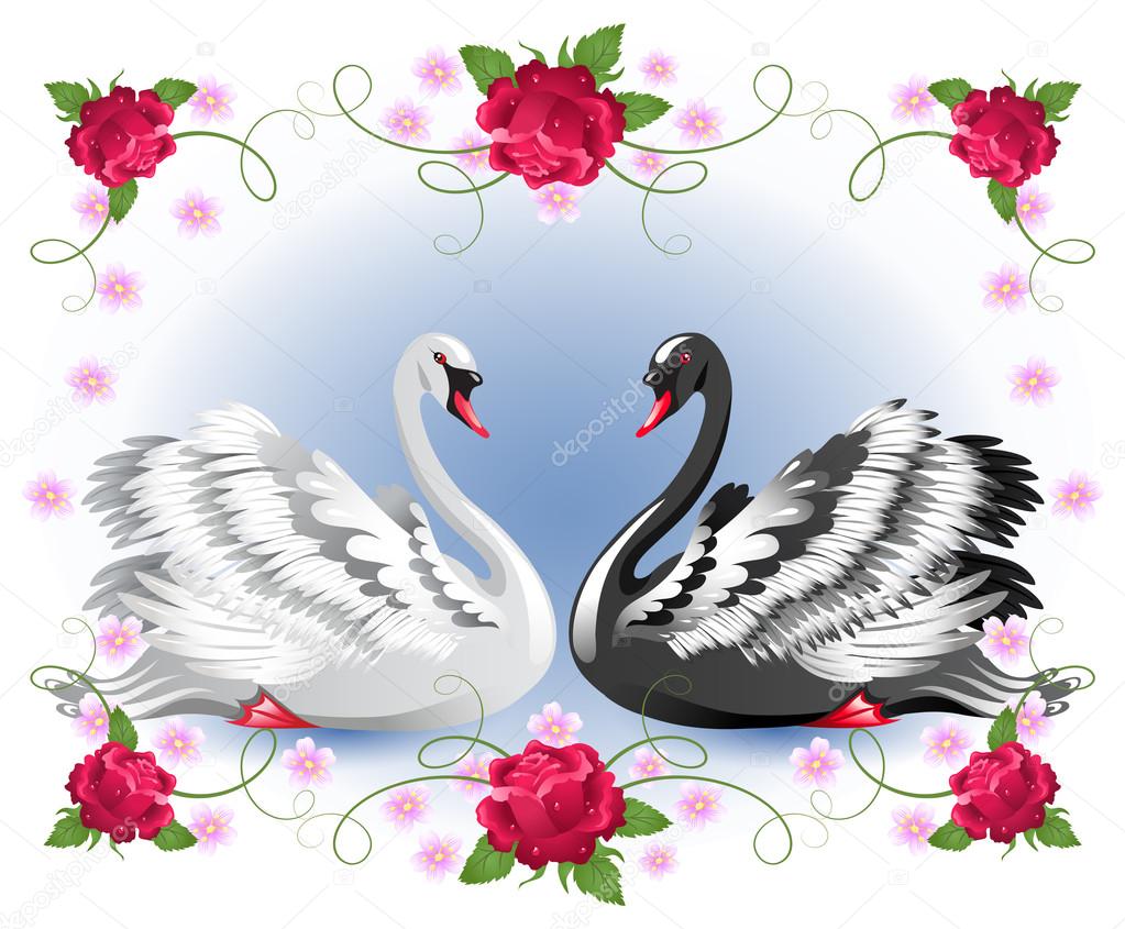 White and black swans with floral roses ornament
