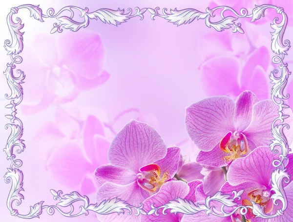 Pink orchids with vintage ornament — Stock Photo, Image