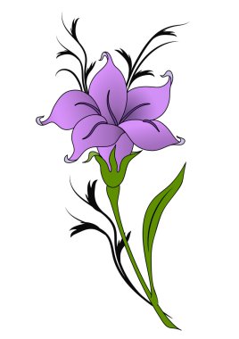 Dekoratif lily çiçek