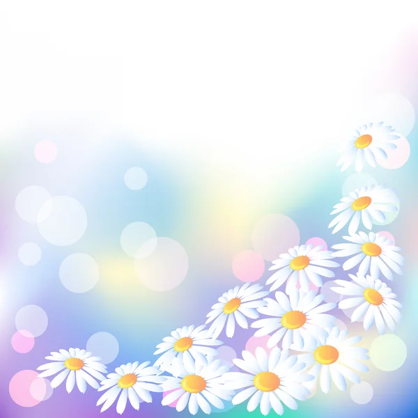 Floral achtergrond met daisy — Stockvector