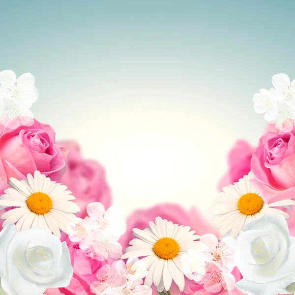 Bakgrunn med rosa og hvite roser – stockfoto
