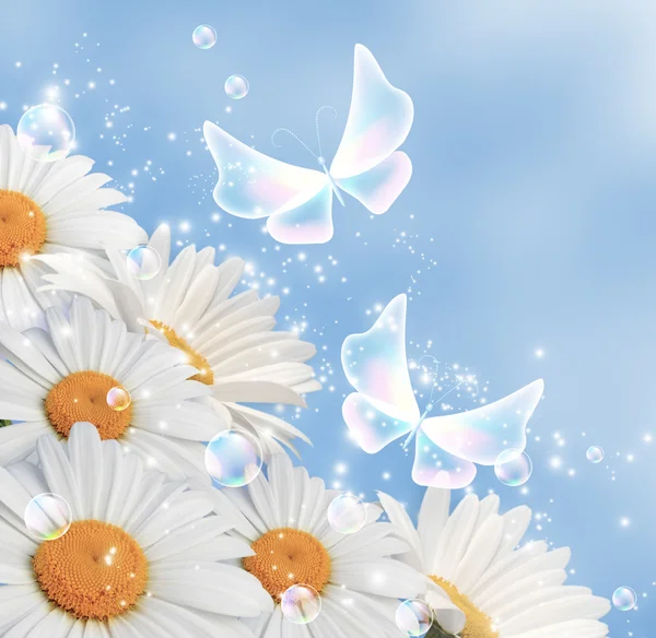 Marguerites et papillons fantaisie transparents — Photo