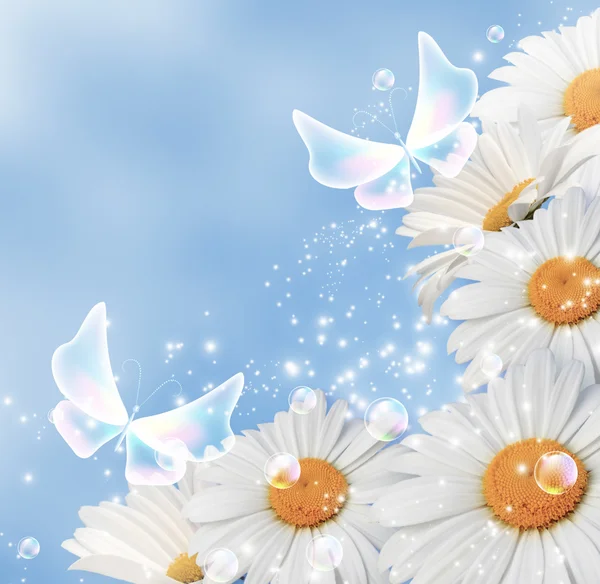 Gänseblümchen und transparente Fantasie-Schmetterlinge — Stockfoto