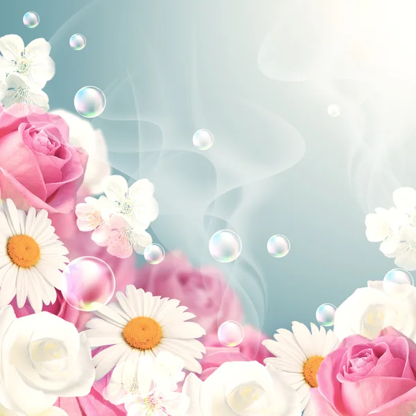 Pink and white roses with daisy and bubbles — Stock Photo, Image