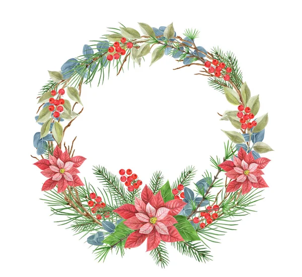 Kerst Decoratieve Krans Met Poinsettia Groen Sparren Dennenboom Takje Hulst — Stockfoto