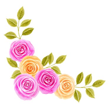 Beyaz arka planda izole edilmiş güzel pembe ve sarı gül buketli suluboya resim. Köşedeki çiçekli süs. Tasarım ögesi.