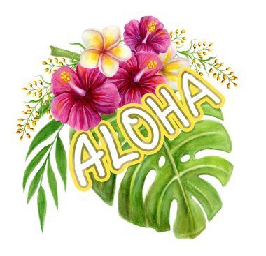 Aloha Hawaii selamı. Beyaz arka planda pembe Çin Hibiscus gül çiçekleri ve palmiye yaprağı olan el yapımı suluboya resim. Tropik yaz süsleri. Tasarım ögesi.