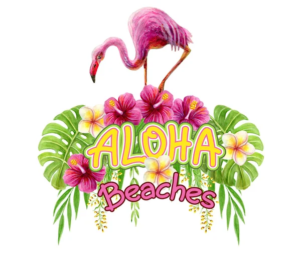 Aloha Hawaii Beaches Greeting Hand Drawn Watercolor Painting Pink Flamingo — 图库照片