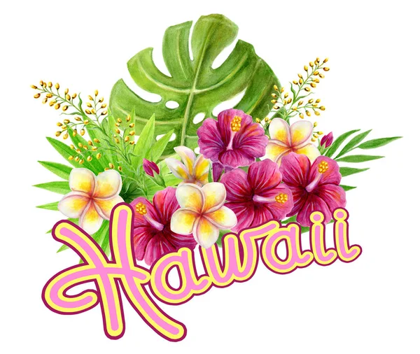 ハワイのアート装飾 ピンクのハイビスカスが描かれた手描きのハワイアン水彩画は 白を基調としたフランジパニの花やヤシの葉を浮かび上がらせました 熱帯の花の夏の装飾 デザイン要素 — ストック写真