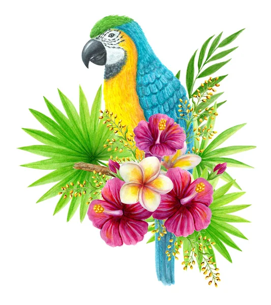 鹦鹉Ara与热带花束芙蓉花 弗兰吉帕尼 绿叶扇和棕榈叶 异国情调的花卉构图 树叶水彩画 花卉和蓝黄相间的金刚鹦鹉 — 图库照片