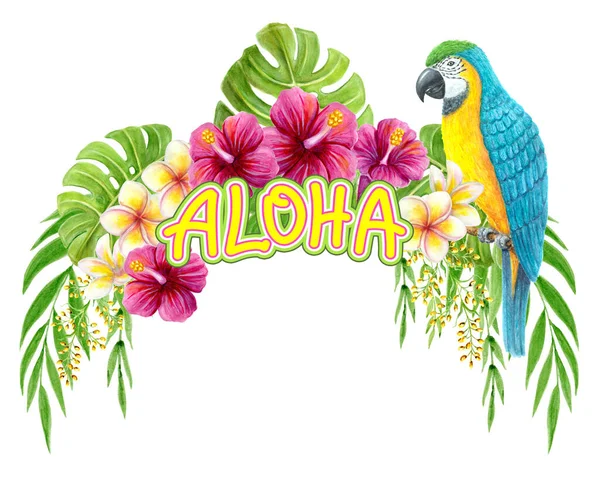 アロハハワイの挨拶 白を基調に オウムのマコー ハイビスカスの花やヤシの葉で手描きの水彩画 熱帯の花夏の芸術 デザイン要素 — ストック写真