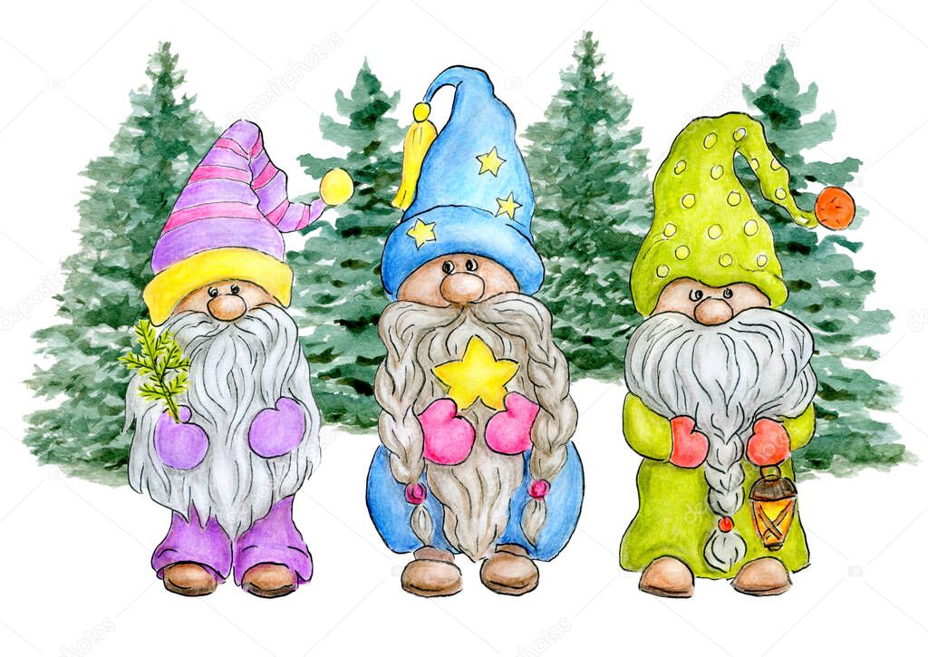 Three Gnomes in Christmas forest with spruce, star and flashlight. Little gnomes in funny hats. Cute holidays elves for New year greetings card or invitation.