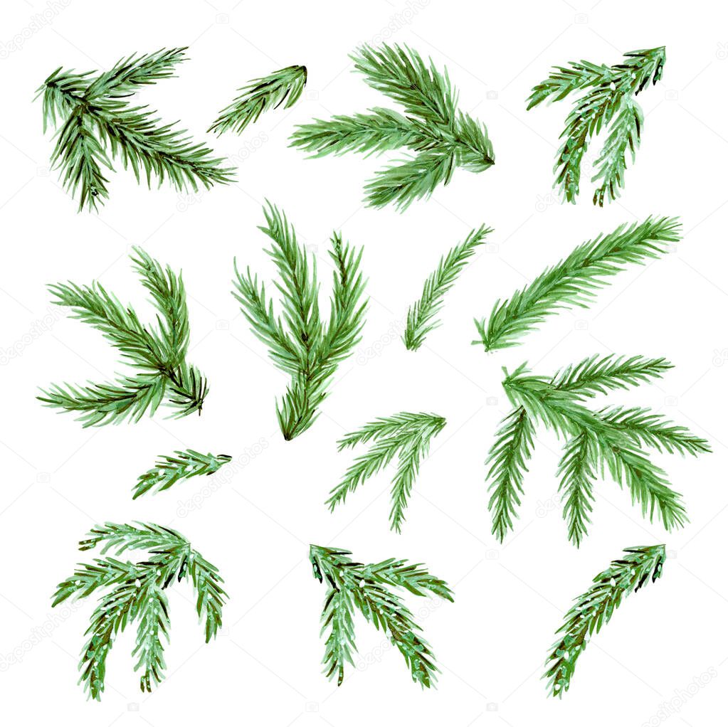 Christmas tree branch watercolor clipart. Set spruce twig aquarelle for greeting card. Collection New Year winter fir branches.