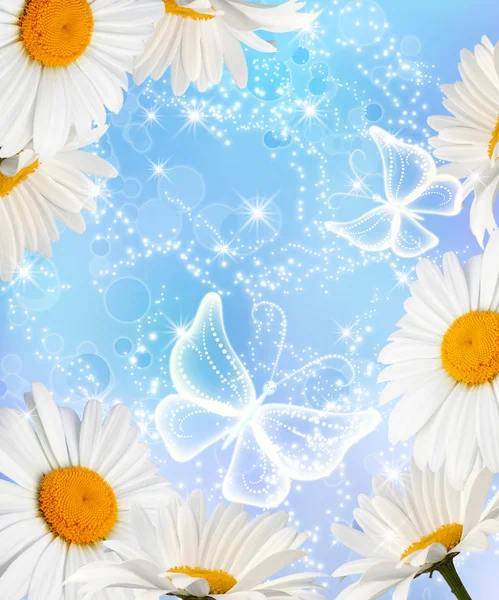 Daisy a motýli — Stock fotografie