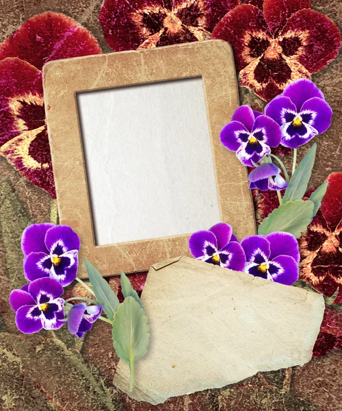 Grunge frame met viooltje en papier — Stockfoto