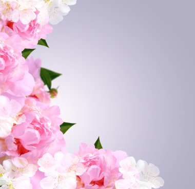 Şakayık ve kabarcıklar  