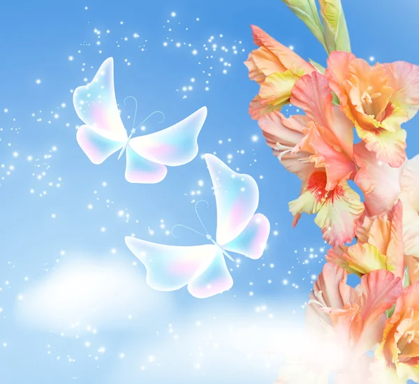 Gladiolus blossom and butterflies — Stock Photo, Image