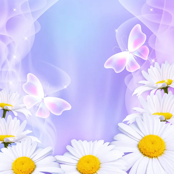 Gänseblümchen und magischer Schmetterling — Stockfoto