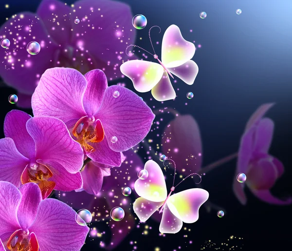 Orkide ve kabarcıklar ile kelebek
