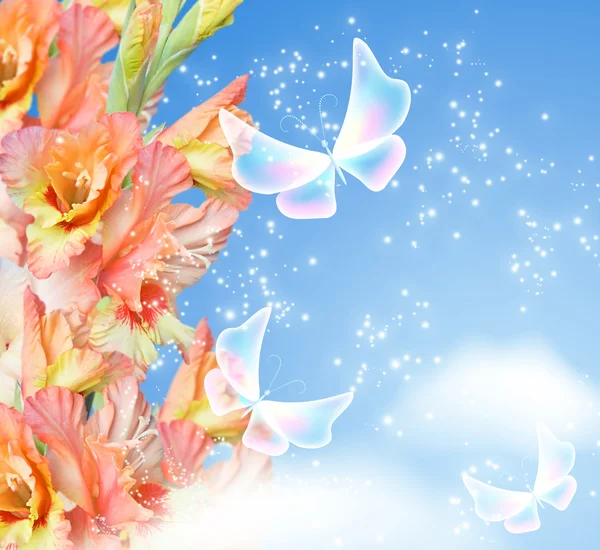 Gladiolus blossom and butterflies — Stock Photo, Image
