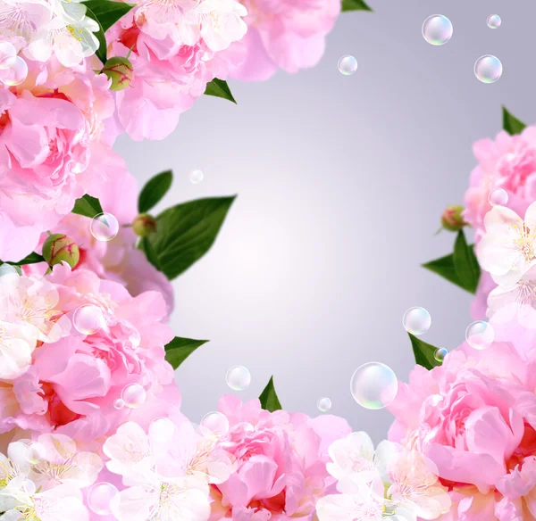 Peony and bubbles — Stock Photo, Image