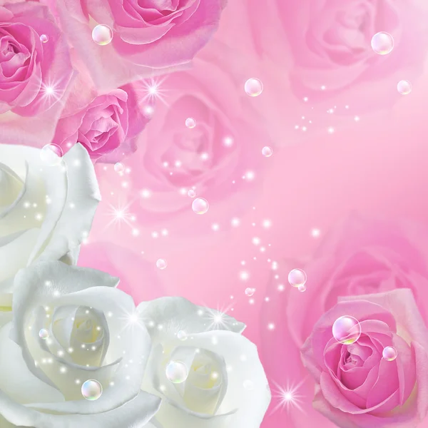 White and pink roses with  stars — Stock Photo, Image
