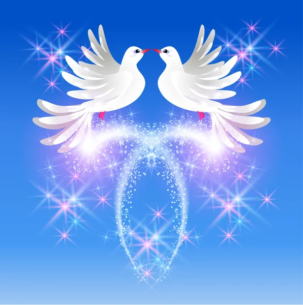 Flying two doves and sparkling salute — Stock Vector