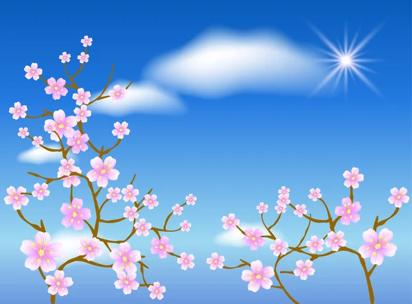 Sakura bloesem — Stockvector