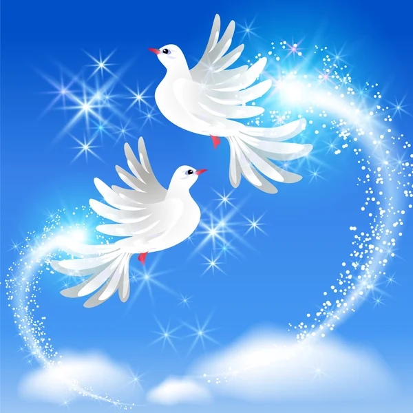 Flying two doves and sparkling salute — Stock Vector