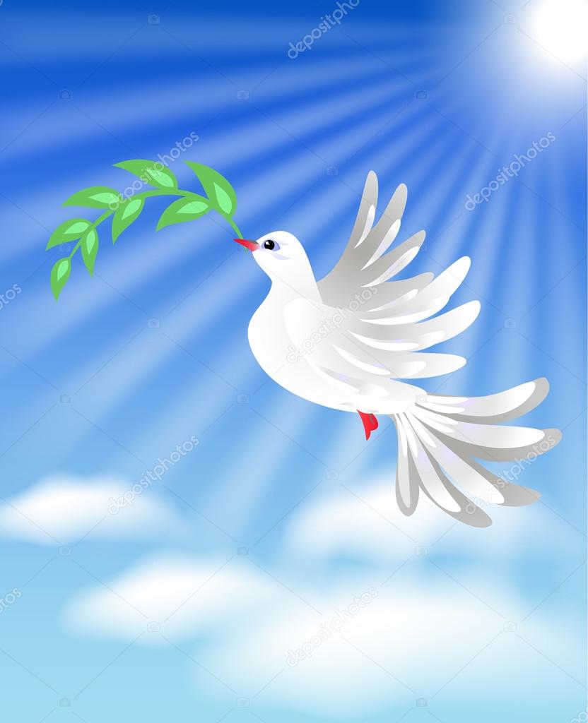 Flying white dove with green branch  