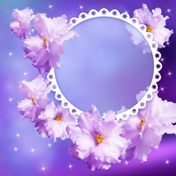 Photo frame with violets — Stock Photo, Image