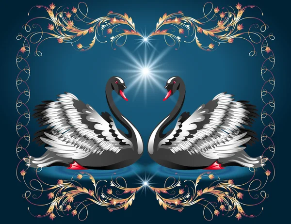 Elegant black swans and golden ornament — Stock Vector