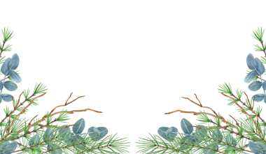 Kış yeşilliği, ladin, çam ağacı dalı ve okaliptüs dallı Noel çerçevesi. Selamlama veya davet için yeni yıl tasarımı.