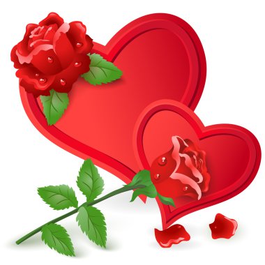 iki kırmızı kalp ve gül.