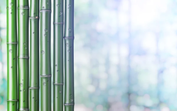 Fondo de bambú verde — Foto de Stock